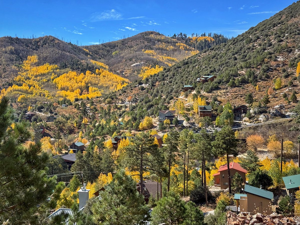 Allophile's tweet image. Fall color peaking right now in the Santa Catalinas—Tucson’s “sky island” backyard—maples and aspens on mountaintops in the middle of the desert, miraculous…
instagram.com/reel/DBpw-LxJu…
@ThePhotoHour #getintotheoutthere
@Apple #shotoniPhone16pro