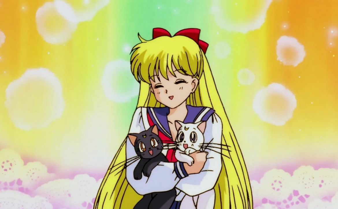 Sailor Moon R (1993)