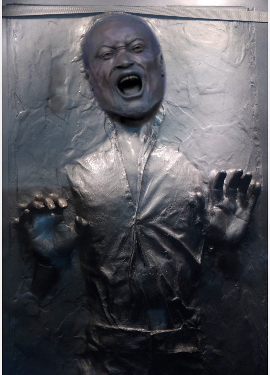 Mickey Ardell tweet media