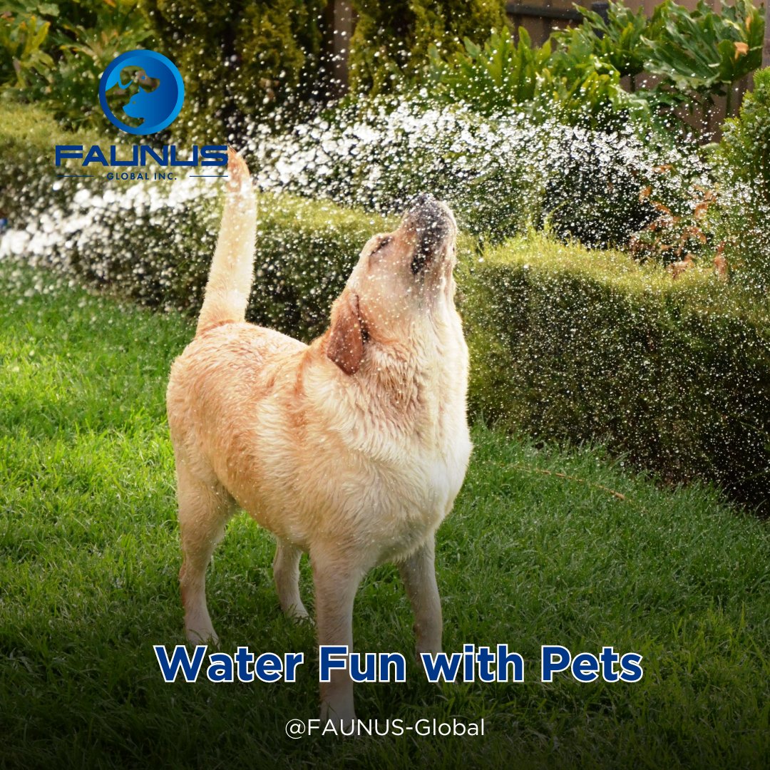 FAUNUS_FNS's tweet image. Does your pet love water? Show us their splashy fun times! 

Also, visit👉faunus.global
Join us at Telegram t.me/faunusglobal

#FaunusGlobal #WaterFun #SplashyPets #PetsInWater #SummerFun #AquaPets #WetPets