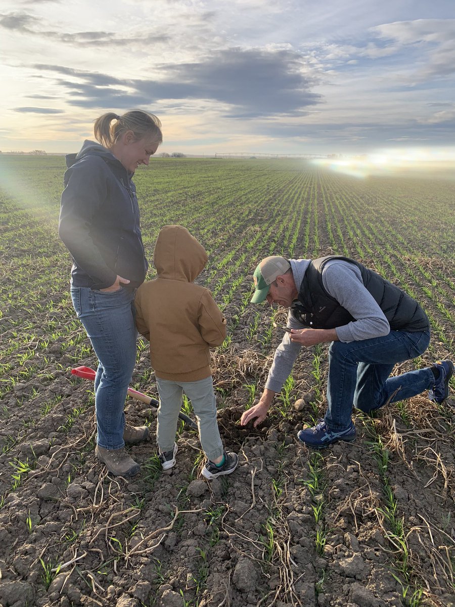 Grassroots Agronomy tweet media