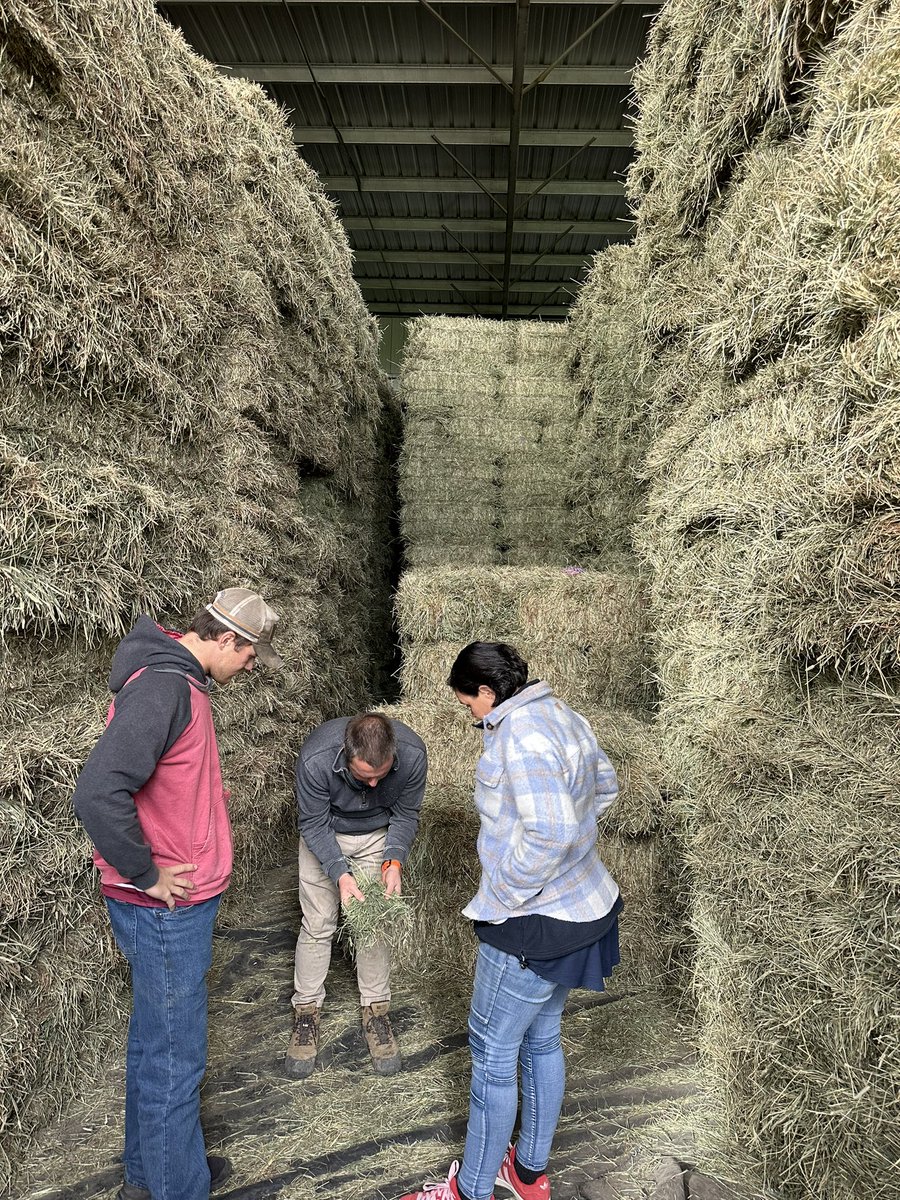 Grassroots Agronomy tweet media