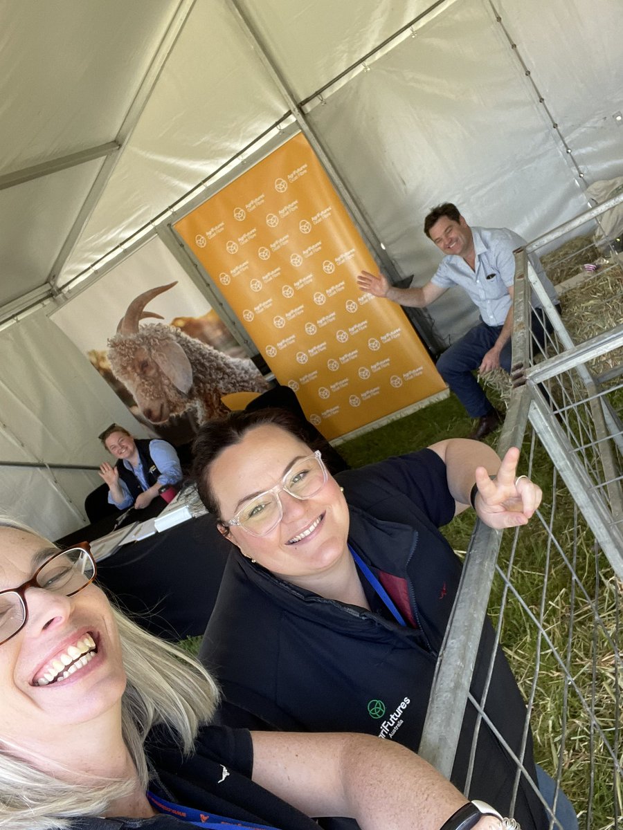 Emma Grabham tweet media