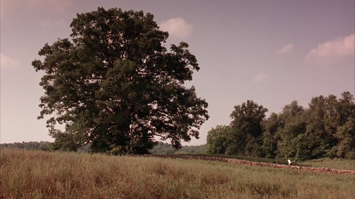 Frame_painting's tweet photo. The Shawshank Redemption (1994)
Dir : Frank Darabont https://t.co/AIjZI9op3M