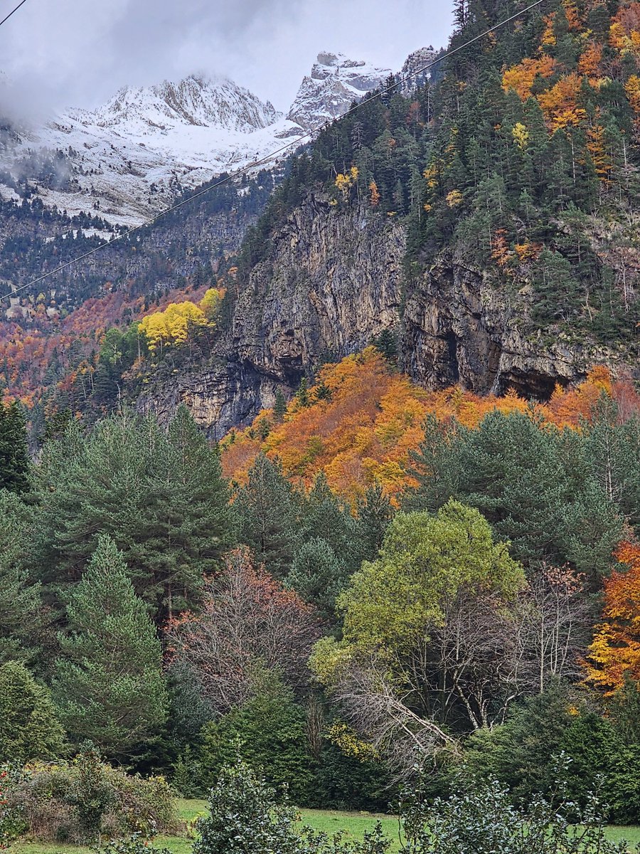 HikeSNspain's tweet photo. Otoño en los Pirineos aragoneses ❤️

#Pirineo #pyrenees #autumn #mountains #montaña #otoño #dreamscapes #huescalamagia #bujaruelo #ordesa #AragonEnamora
#OrdesayMontePerdido #hiking https://t.co/vMNtjqCTmH