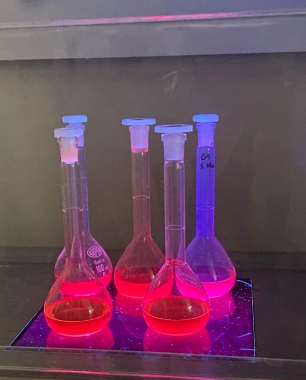 bioquimicaURV's tweet photo. 🧪Els alumnes de segon dels graus de Biotecnologia i Bioquímica aquesta setmana fan pràctiques de laboratori de Biologia Vegetal. 

En aquestes observen la fluorescència dels pigments de la fulla d'espinac i estudien la histologia vegetal. 🔬 https://t.co/ITHi787M1j