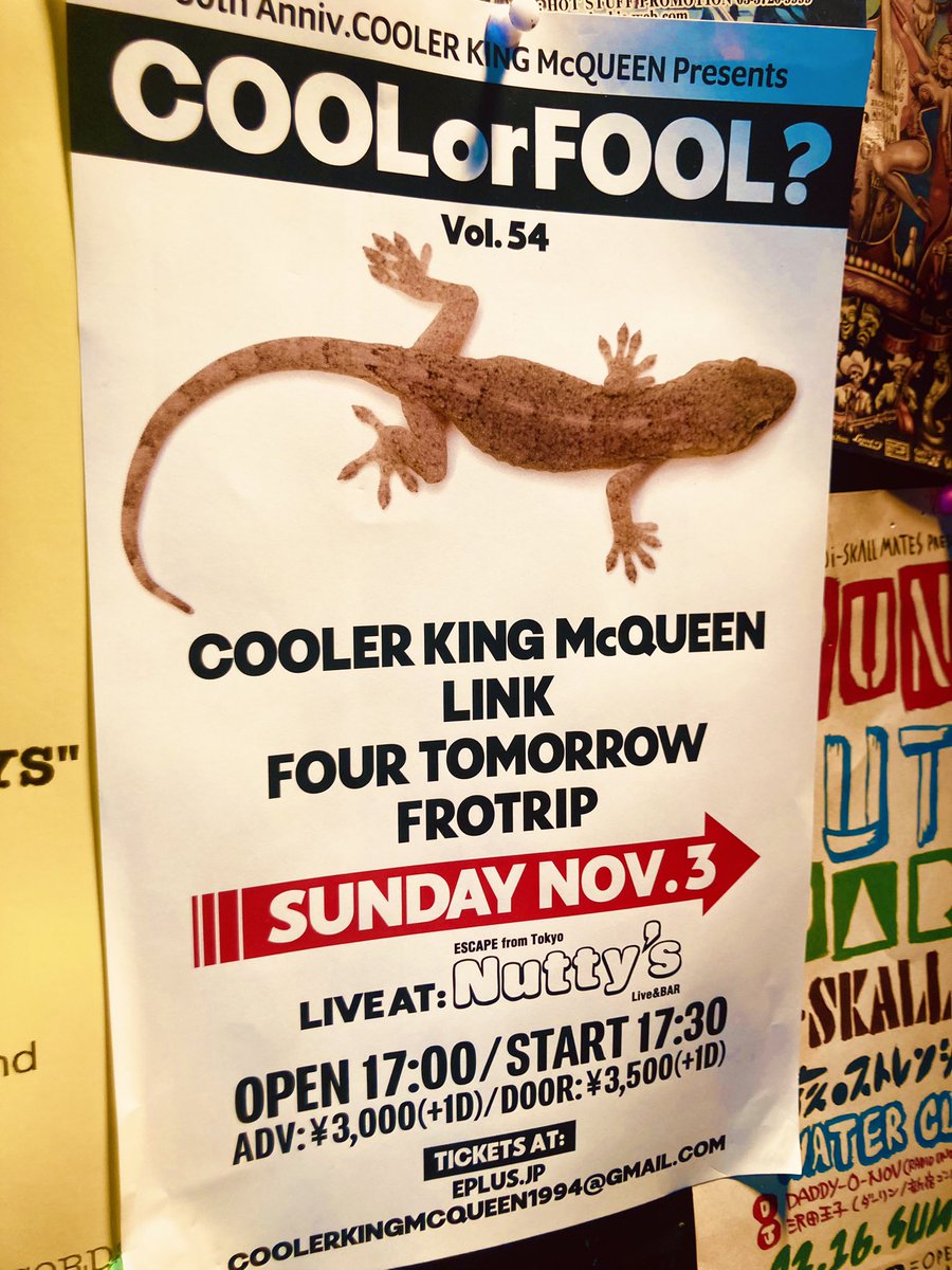 Nutty_s's tweet photo. ⭕️今週末・2024.11.03（日）の当店

『COOL or FOOL？〜COOLER KING McQUEEN 30th Annive〜』

✅イベ詳細👉 https://t.co/jhQUTnKwcm

OPEN 17:00/START 17:30
ADV：¥3,000/ DOOR：¥3,500（共に1D別/￥600)

- SHOW -

COOLER KING McQUEEN
LINK
FOUR TOMORROW 
FROTRIP 

#ナッティーズ 
#Nuttys https://t.co/zyhZ5ASbGJ