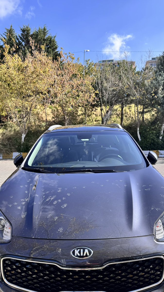 Tell me your city without telling the name of your city:
My city: