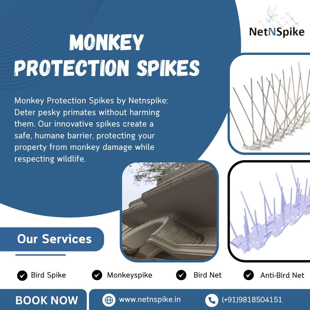 netnspike's tweet photo. Protect your property from pesky monkeys without harming them! Our humane monkey protection spikes create a safe barrier. Easy to install, durable, and effective.

#monkeyprotection #monkeyspikes #animalfriendly #humane #nature #garden #homeimprovement #safety #netnspike https://t.co/HhB74y0o0g