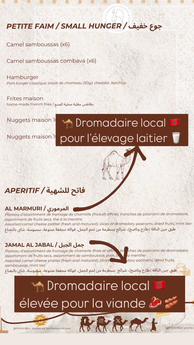 SMOKYBlLL's tweet photo. Camel colors are our inspiration for our (camel milk) coffees ☕️ 🐪 https://t.co/DxRW2ODciy