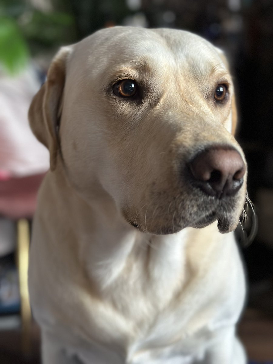 ❤️ Kirsty Tait❤️ tweet media