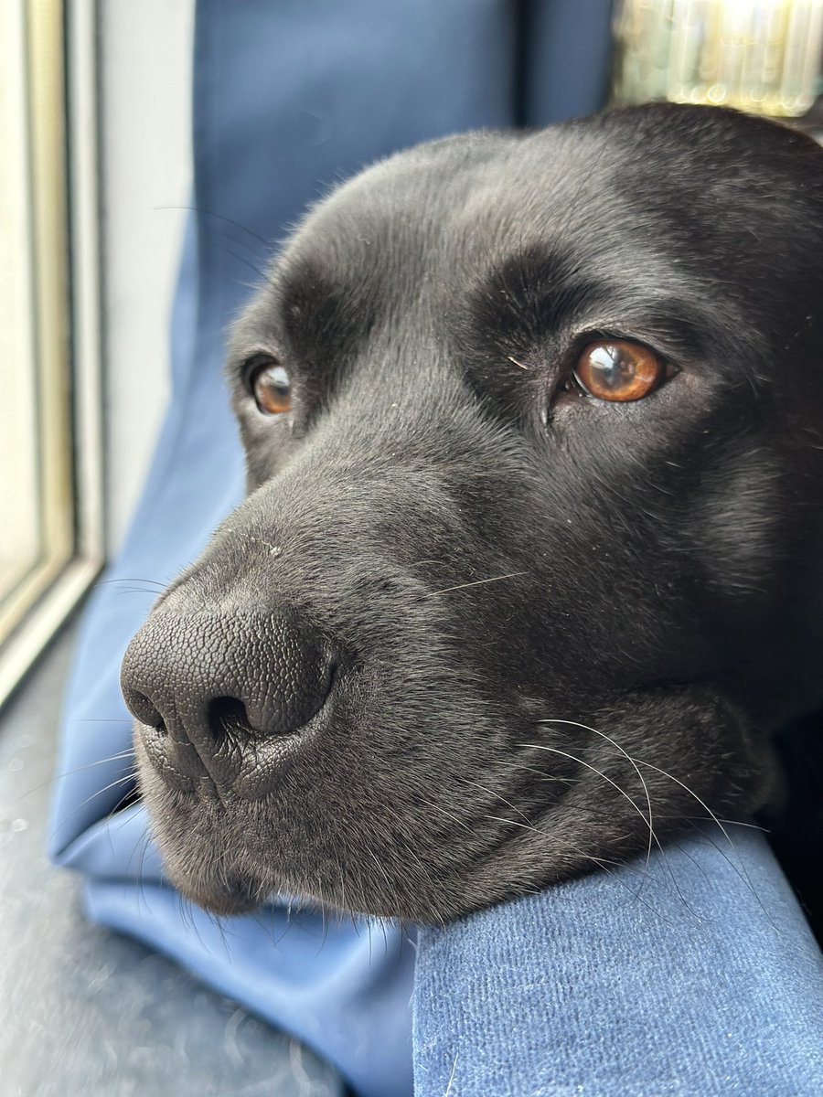 ❤️ Kirsty Tait❤️ tweet media