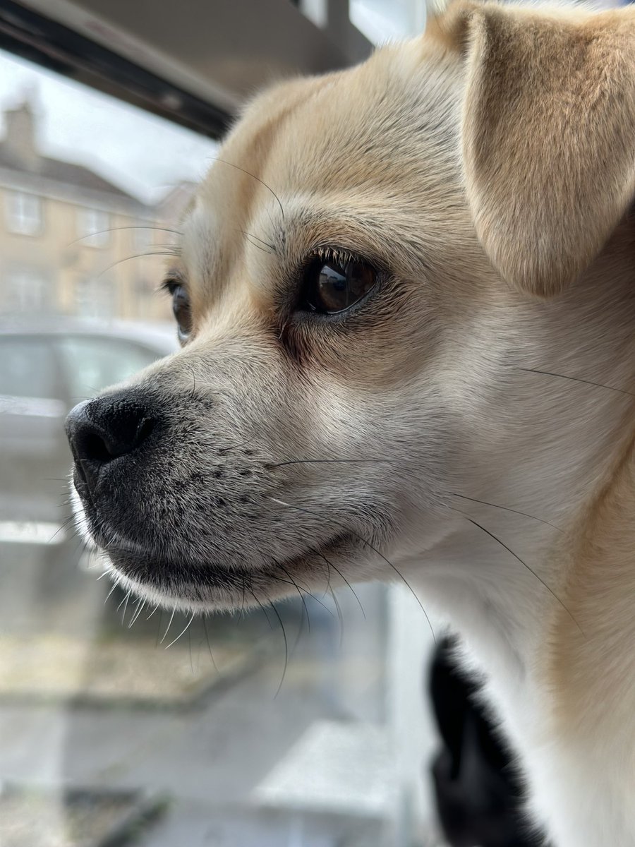 ❤️ Kirsty Tait❤️ tweet media