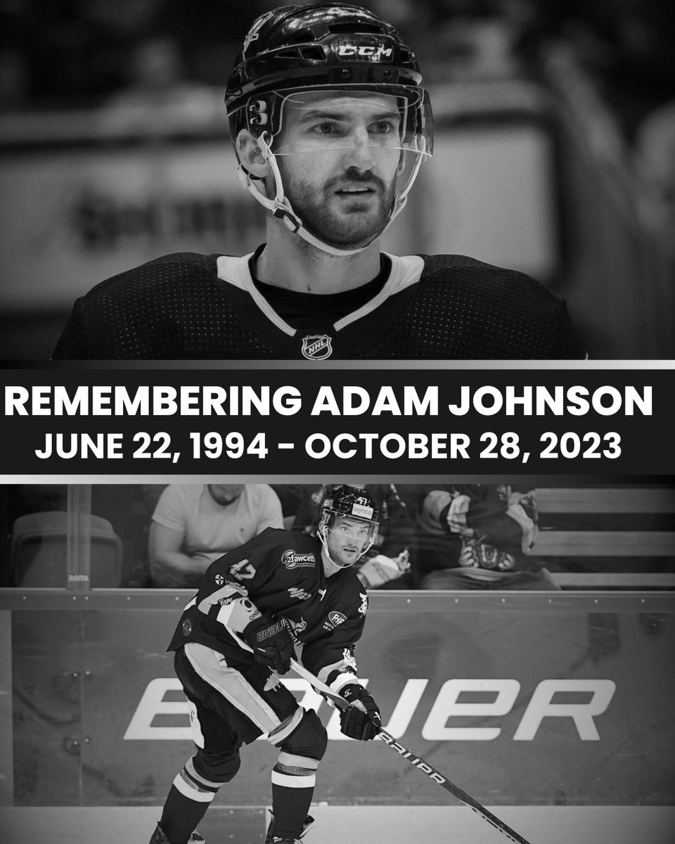 dailyeihl's tweet photo. One year on since the tragic accident that took Adam Johnson’s life we remember him and the happiness and warmth he brought to our lives https://t.co/qtrtQlG6dW