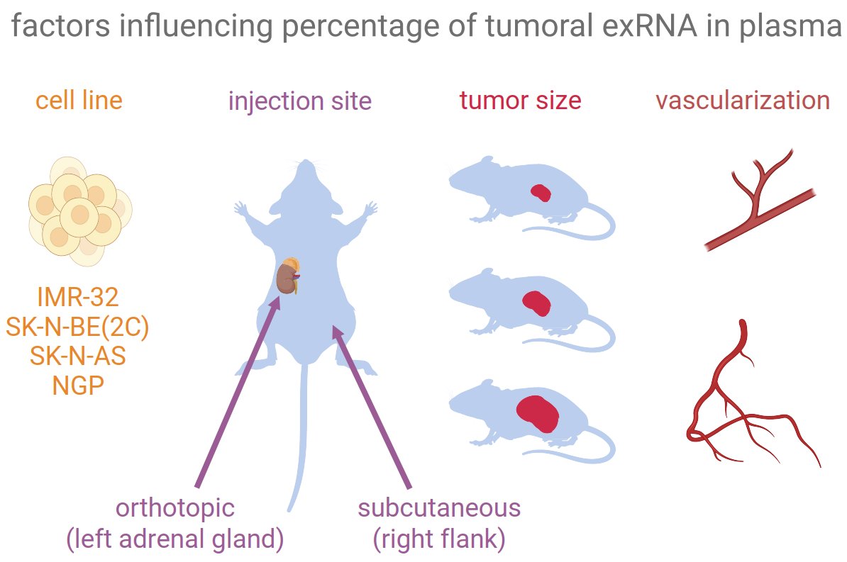 Thrilled to share the #Article paper of Journal #ExRNA! 
📜Exploration of #neuroblastoma xenograft models for tumor #extracellular #RNA profiling in murine blood #plasma
🔎 By Deleu J, Van Droogenbroeck H, Anckaert J, Decock A, De Wilde J, et al.
🏫 <a href="/crighent/">CRIG</a> <a href="/ugent/">UGent</a> <a href="/azgroeninge/">az groeninge</a>