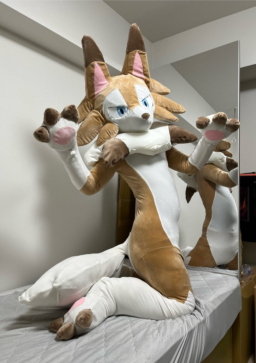 ルート tweet media