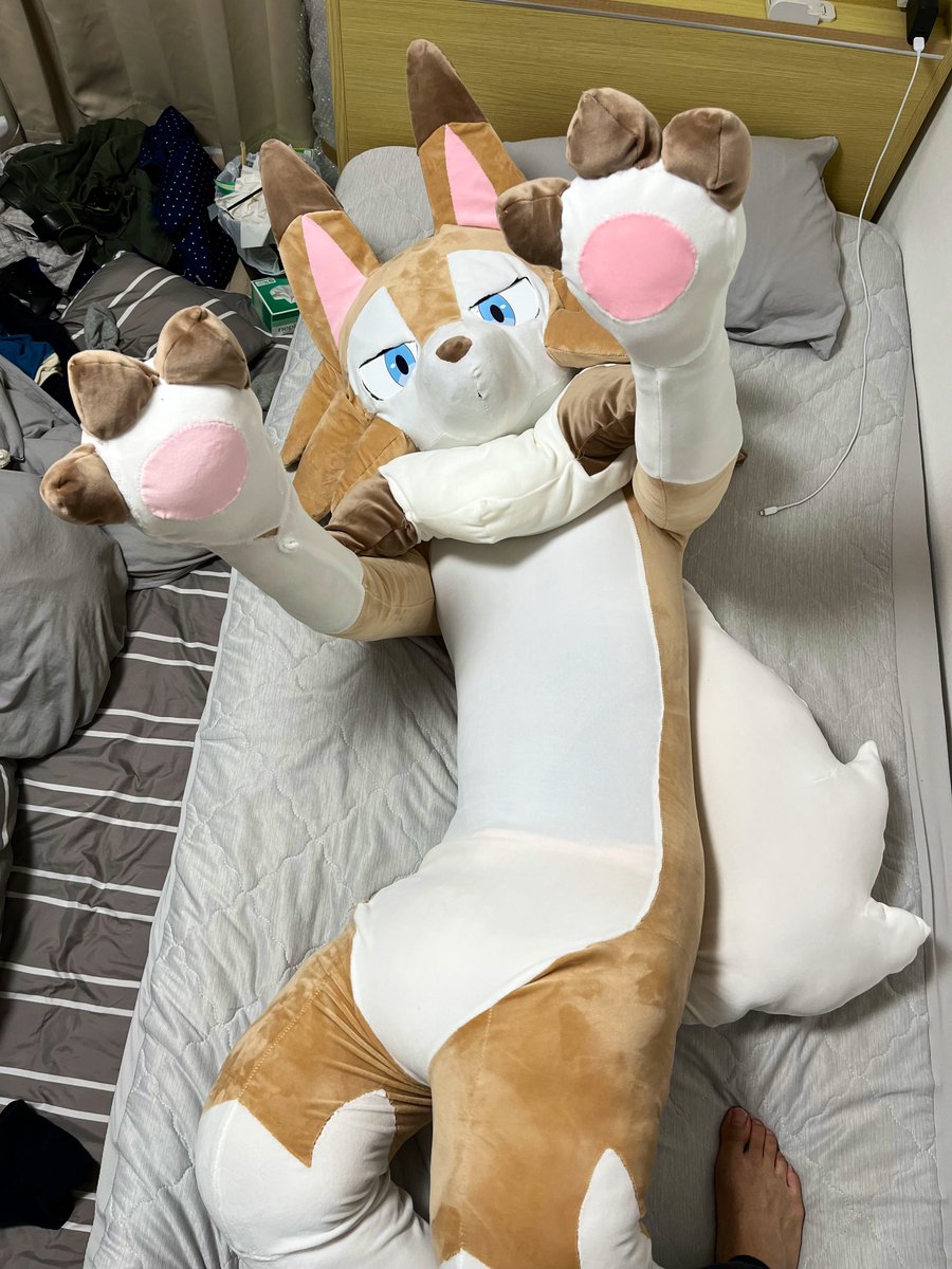 ルート tweet media