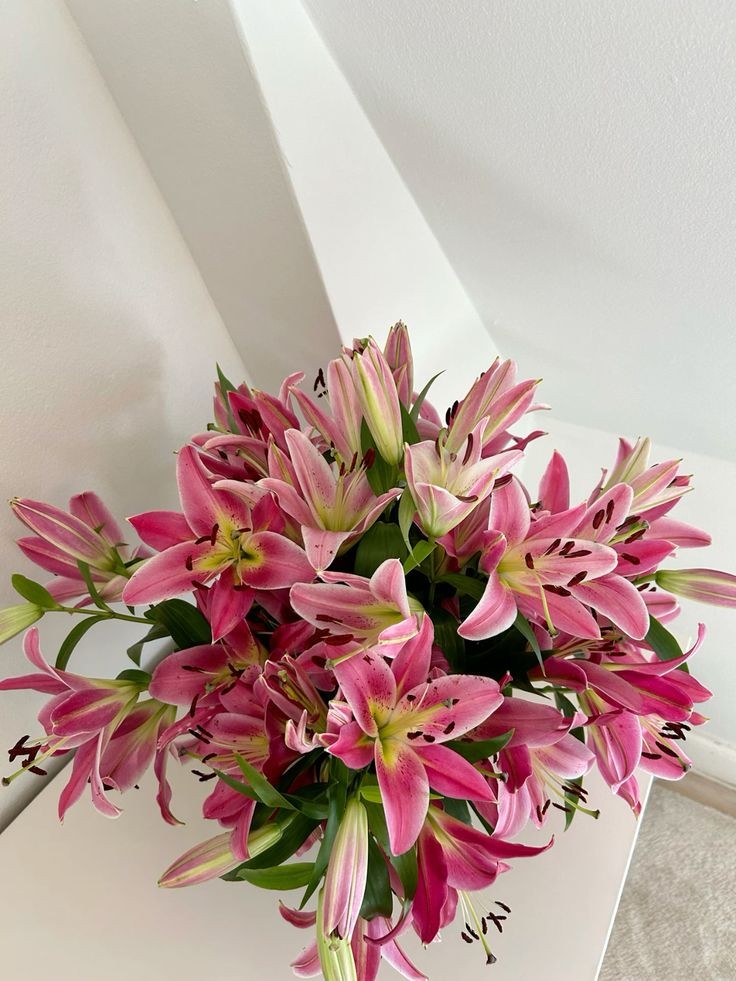onlyyouforeveer's tweet photo. lilies flowers https://t.co/flESF7jlMB