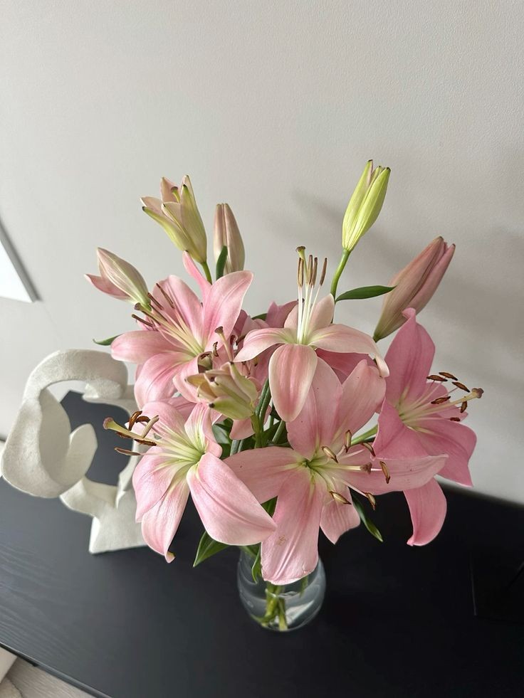 onlyyouforeveer's tweet photo. lilies flowers https://t.co/flESF7jlMB