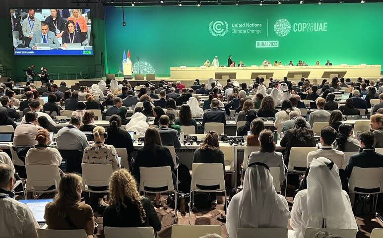 È cominciata la stagione delle COP, quella in cui la speranza diventa un'idea geometrica e astratta della vita: prendi un aereo, prenota una camera, ritira un badge. È come se ci fosse un grande centro di smistamento che organizza la burocrazia del futuro. 
Ti interessano balene