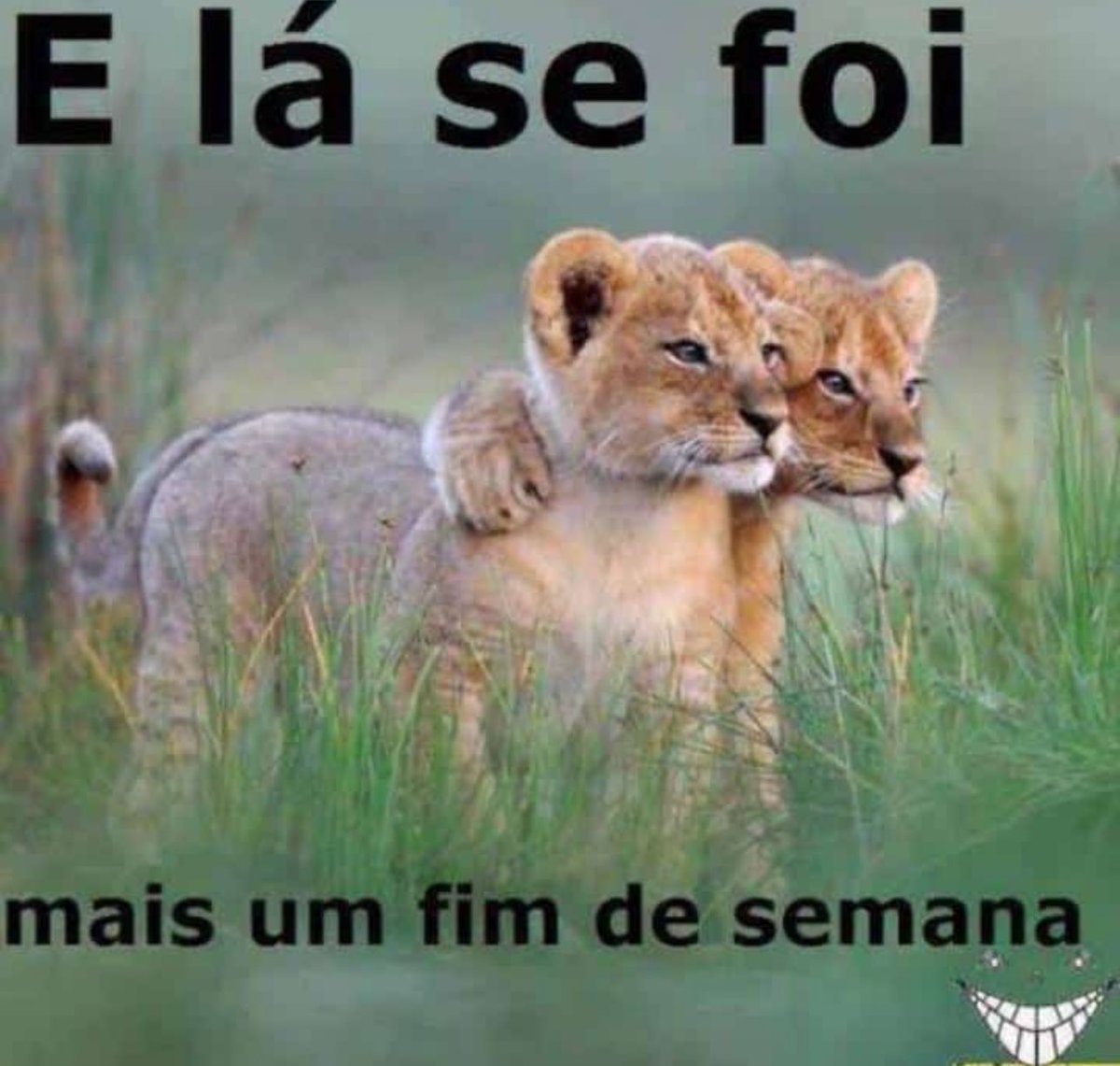 shitpostverdade's tweet photo. https://t.co/ZFg98IoXnc