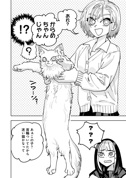 長めのねこちゃんも登場します
『多良さんのウワサ』 
