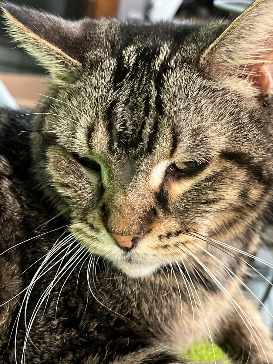 Malic_VR tweet media