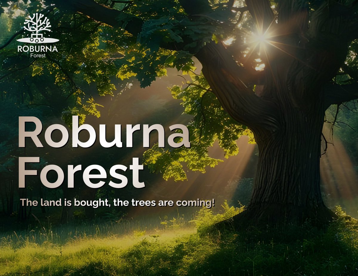 Roburna Forest tweet media
