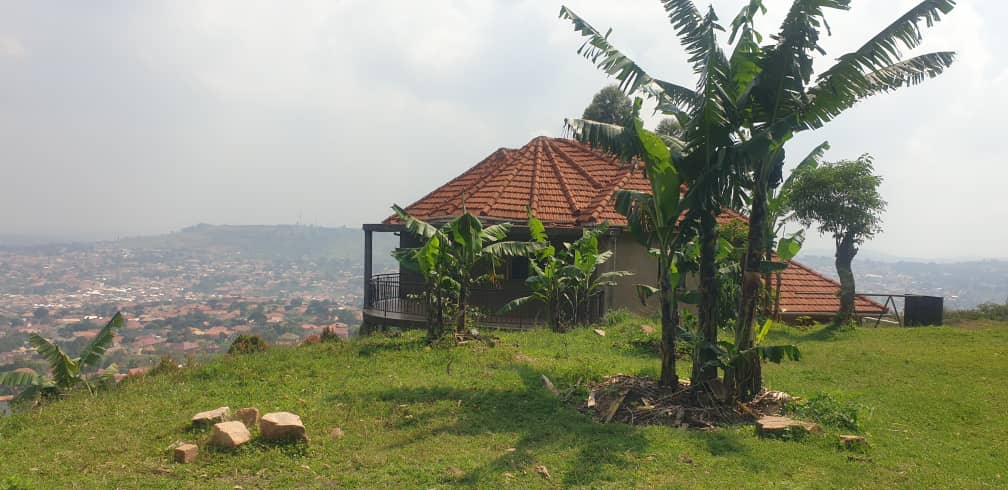 KMT_properties's tweet photo. HOT DEAL...✅✅
Flat House For Sale
Located in, Kampala, Nalumunye
#6bedrooms #6bathrooms sitting & dinning rooms
Seated on #50Decimals private Milo land
Selling Price #650m
Call/ WhatsApp+256786396665 https://t.co/QsBMFTqets