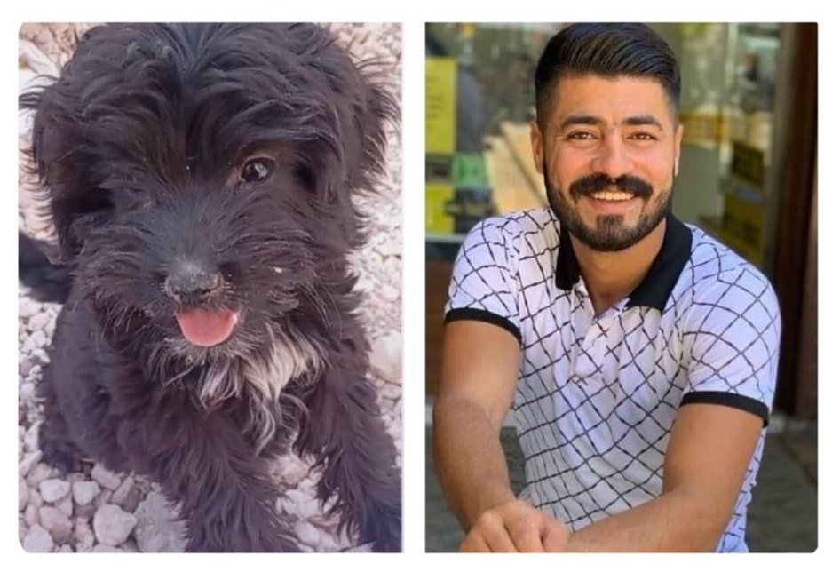 HER İKİSİNİDE ALLAH YARATTI❗️
SAĞDA Kİ ALLAH’a karşı savaş açarak solda ki canı katletti.
Yani sağda ki ALLAH ‘a dedi ki ; Senin verdiğin canı ben alırım❗️
Solda ki mi❓ ALLAH‘ına kavuştu.. 🥹

#HüseyinEfeTutuklansın
#onuneseri
#deprem 
#pazartesi
#türkiyedekatliamvar