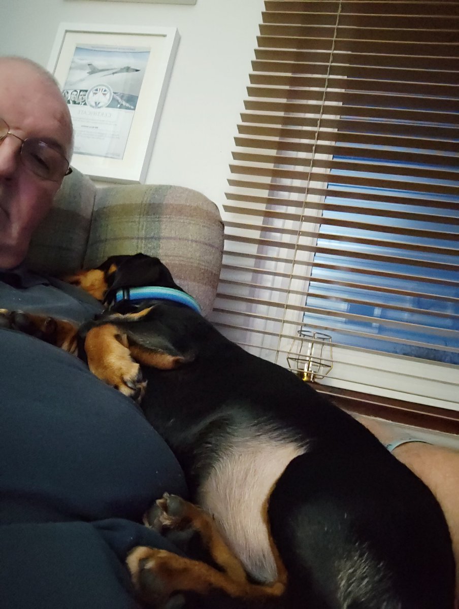 Barry Swallow tweet media