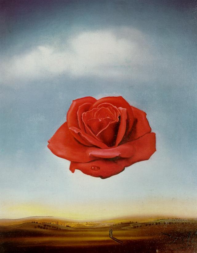 artist_dali's tweet image. Meditative Rose, 1958 #artbots #dali
