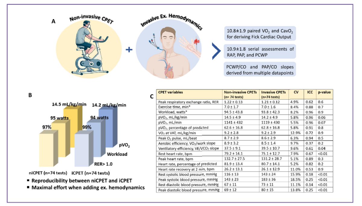 Greg Lewis (@glewiscardiol) on Twitter photo Now in press <a href="/JCardFail/">Journal of Cardiac Failure</a>, during incremental ramp exercise, addition of 10+ upright invasive exercise hemodynamic measures is feasible with nearly identical peak RER, workload and VO2 to non-invasive CPET authors.elsevier.com/a/1jySB3pkRzhe… More to come <a href="/ChiHForum/">Chicago Hemodynamic Forum</a> Now in press <a href="/JCardFail/">Journal of Cardiac Failure</a>, during incremental ramp exercise, addition of 10+ upright invasive exercise hemodynamic measures is feasible with nearly identical peak RER, workload and VO2 to non-invasive CPET authors.elsevier.com/a/1jySB3pkRzhe… More to come <a href="/ChiHForum/">Chicago Hemodynamic Forum</a>