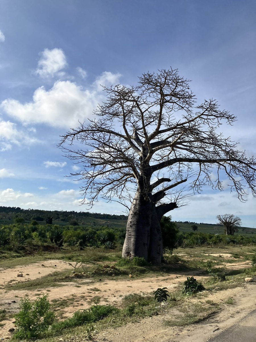 🇰🇪After church, a rest day yesterday saw the Kenya team visit a beach bar for lunch, where they had the opportunity to get henna.