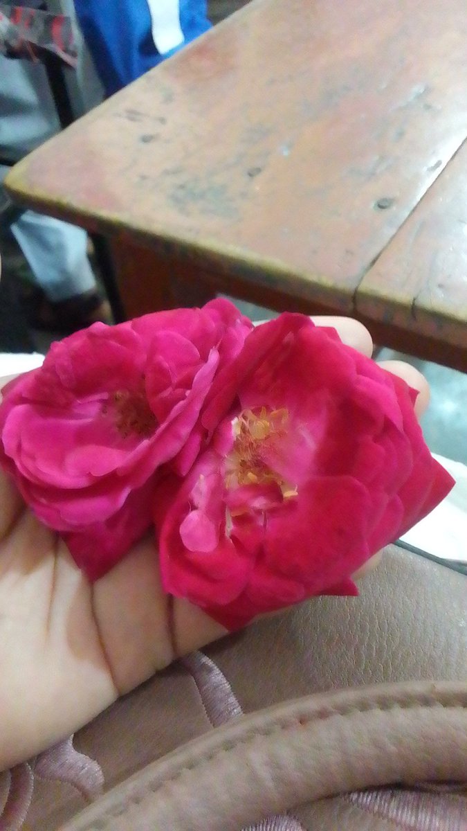 میرے سٹوڈنٹس کی طرف سے صبح کا پیارا تحفہ🥰🥰🥰