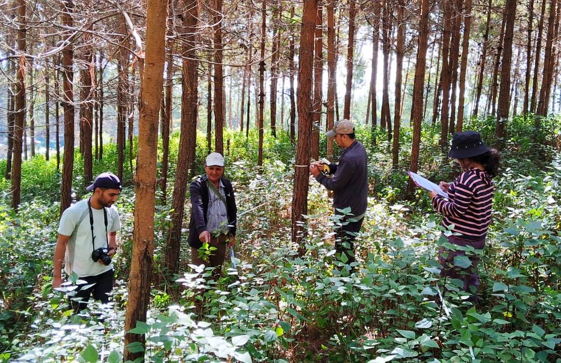 ForestAction Nepal tweet media