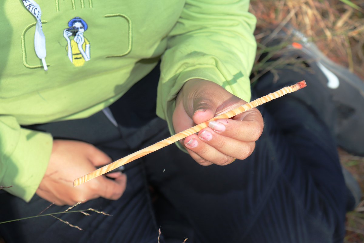 ForestAction Nepal tweet media