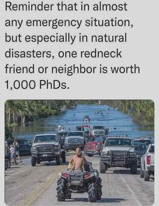 Here comes Suýt Làm Bố!