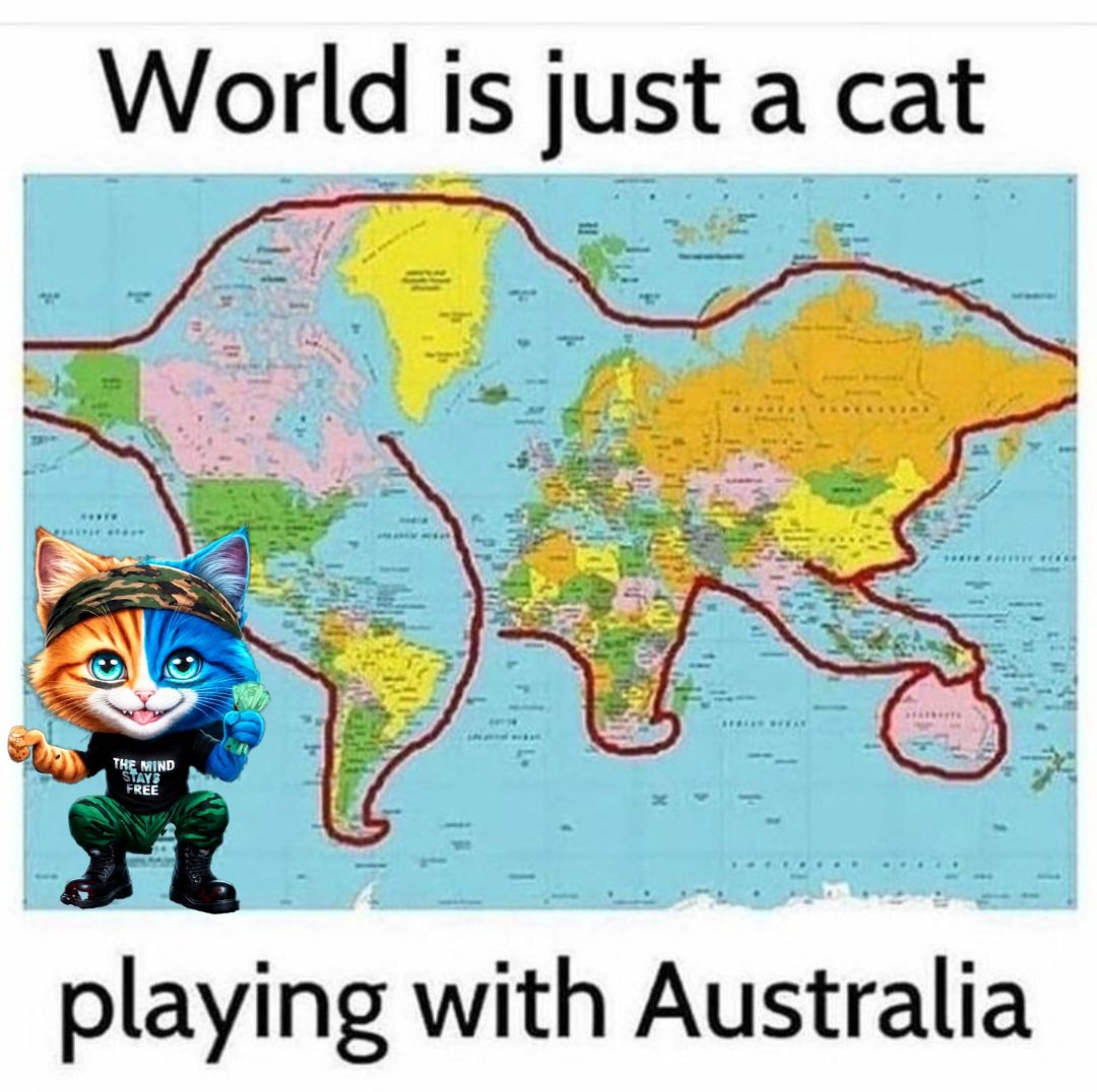 Bonkimeme's tweet photo. Clearly, cats rule the world 🌎! What else could they be hiding?? https://t.co/OfNEsNkJwg
