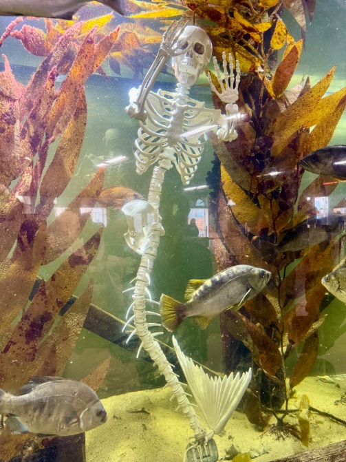 Sometimes, I do love LA