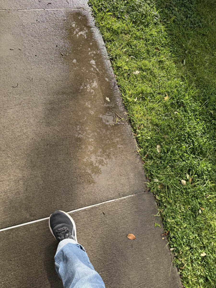 r_jon4's tweet image. #Reflection #nature #puzzle 🌏🧩❤️🌻