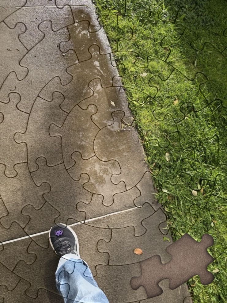 r_jon4's tweet image. #Reflection #nature #puzzle 🌏🧩❤️🌻