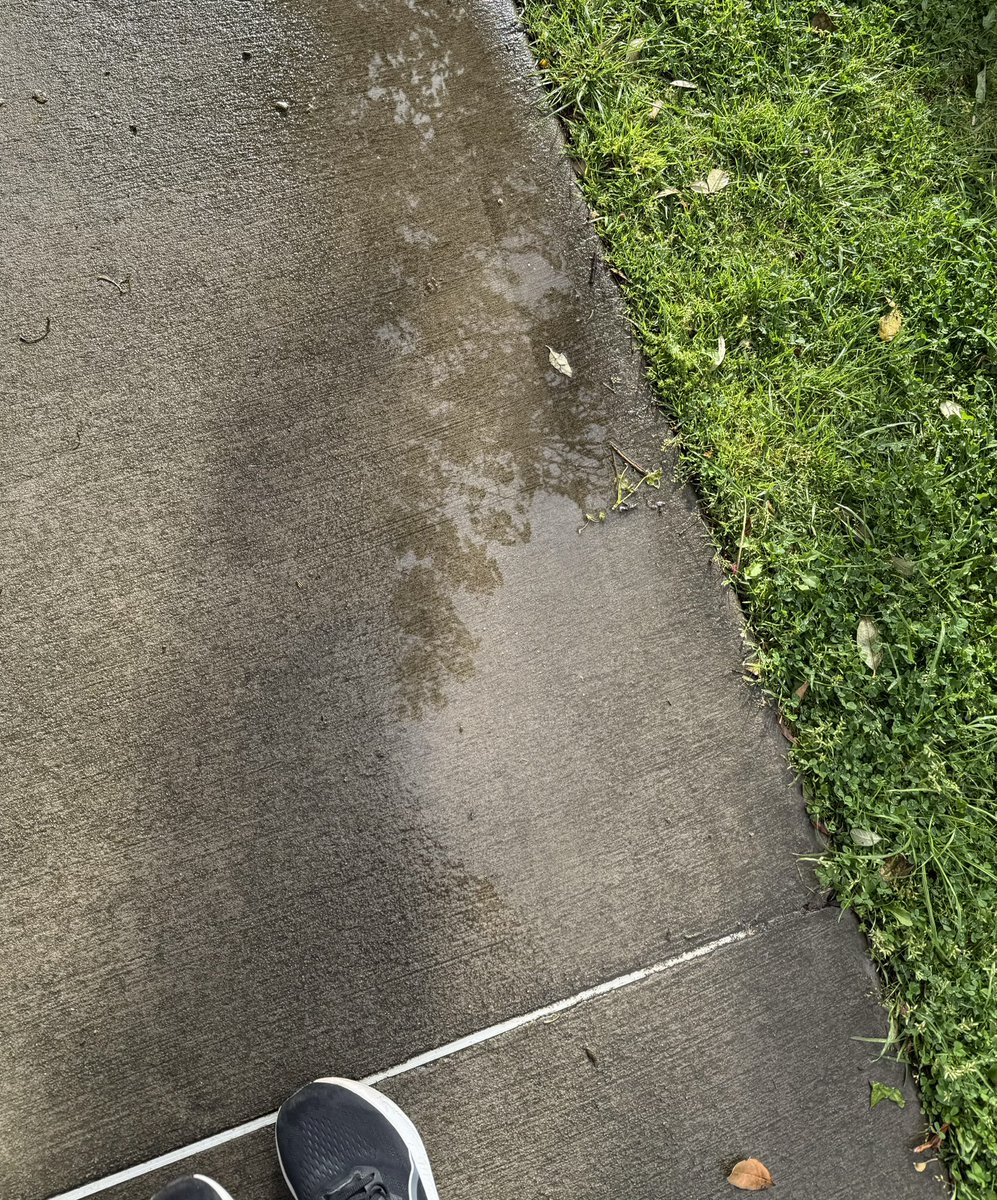 r_jon4's tweet image. #Reflection #nature #puzzle 🌏🧩❤️🌻