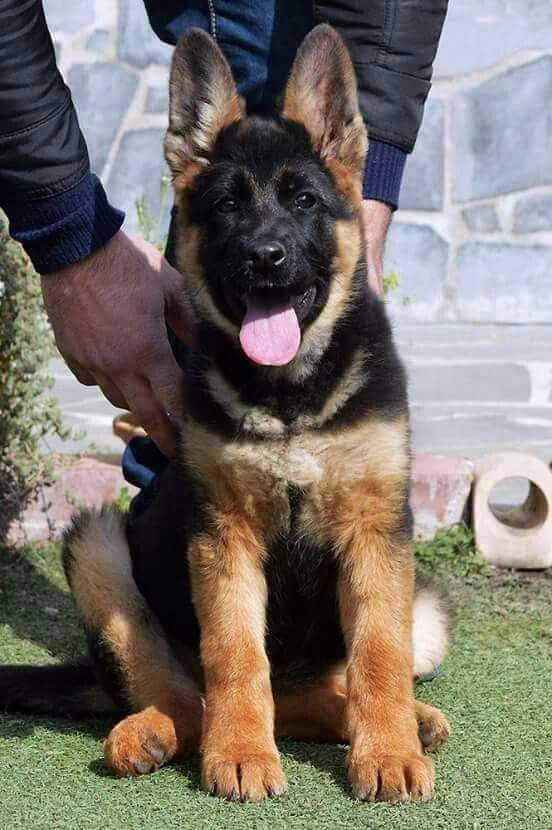 Please don't move around without giving some love &amp; wishes!❤️🧡💚