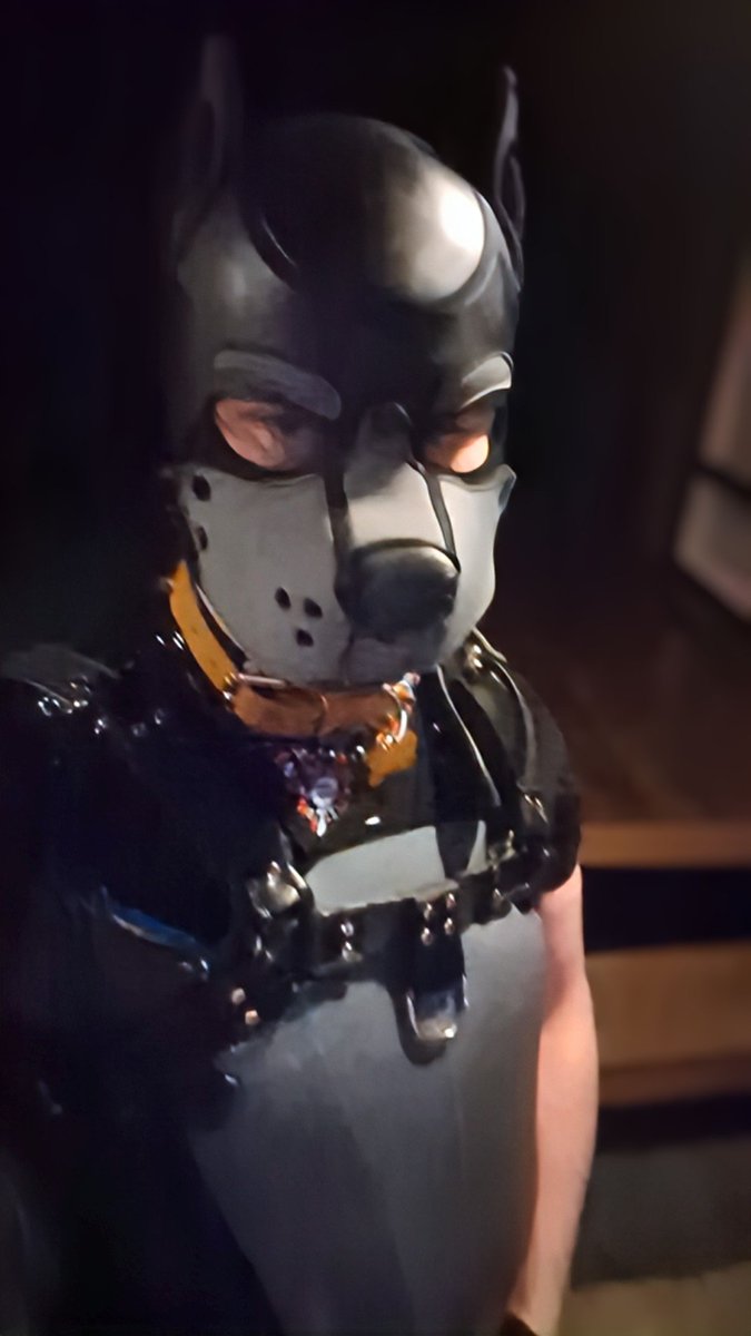 Labour weekend rubber night 2. Thank you <a href="/KiwiLatex/">Taz 🇳🇿</a> for hosting and keeping up with my bullshit for 2 nights. Thank you <a href="/REGULATIONstore/">REGULATION</a> for the customized suit.