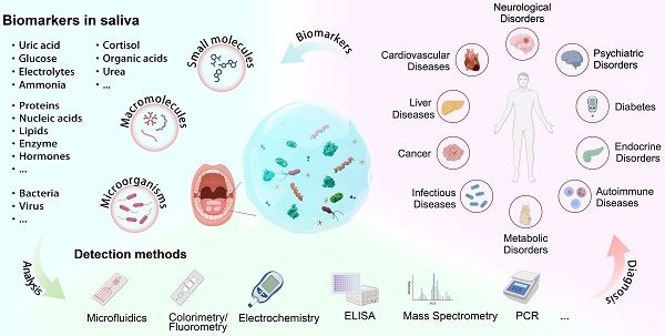 guozhen_liu's tweet image. Pleased to see our review article on Salivary diagnostics: opportunities and challenges published in thno.org/v14p6969.htm #Theranostics