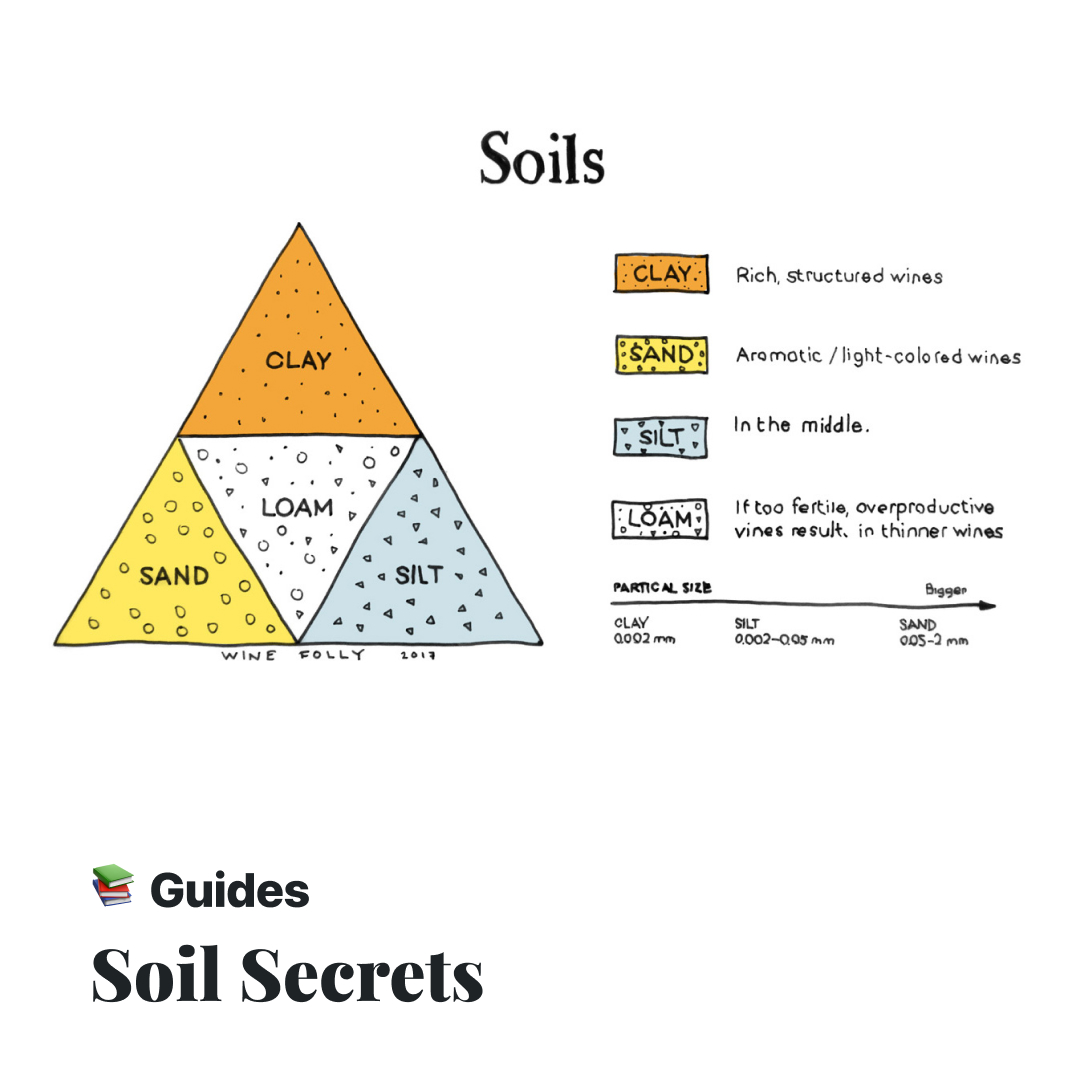 WineFolly's tweet photo. 🌱 Curious how soil impacts wine?
- Sandy: Light, aromatic wines from great drainage.
- Clay: Rich, full-bodied wines due to moisture retention.
- Silt: Smooth, balanced flavors from its fine texture.
- Loam: The perfect mix for complex wines.
🎯https://t.co/Pa3YJV76Kc
#soiltypes https://t.co/vgWrxwG2Mh