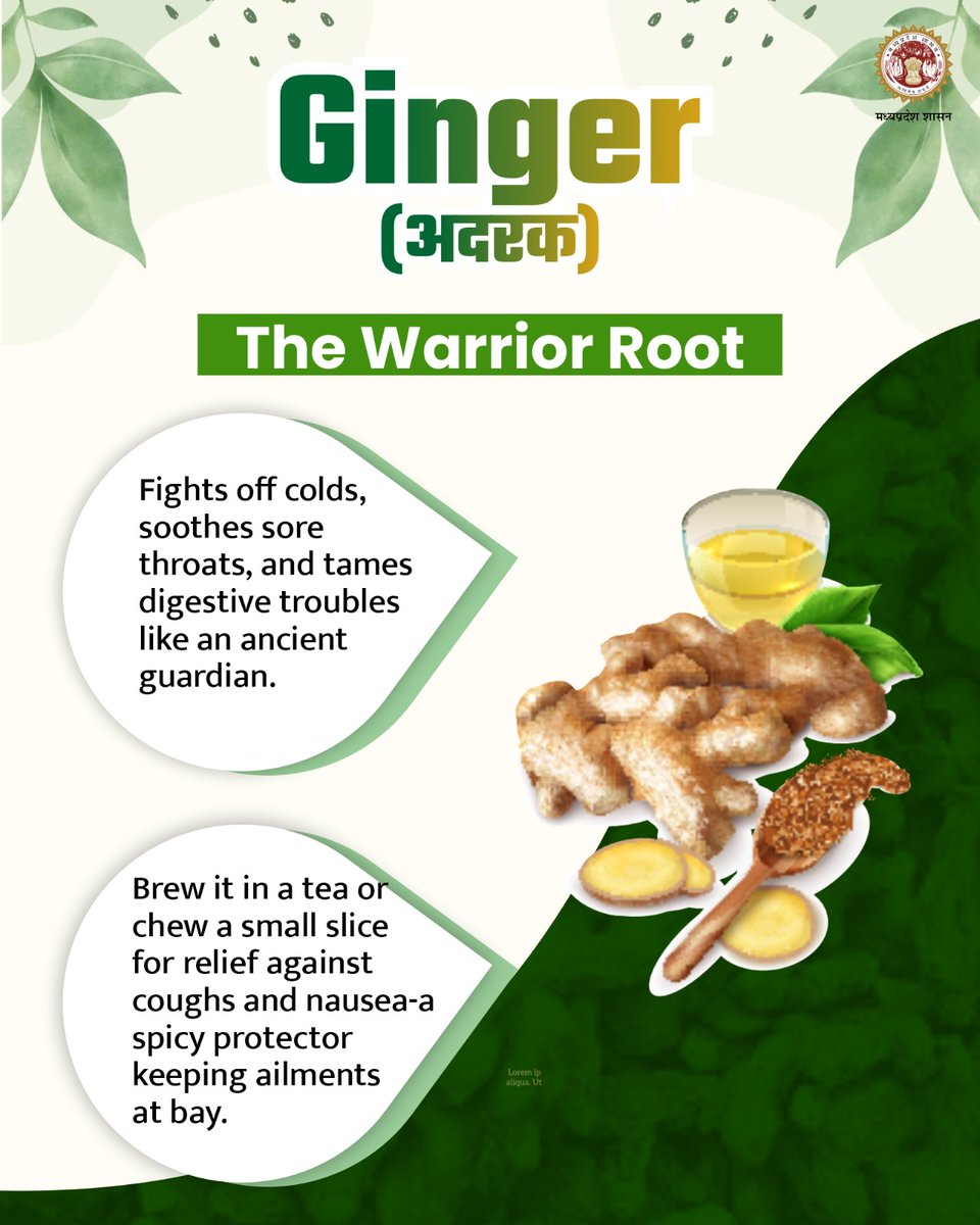 Ginger is an ancient medicine that helps treat different health troubles  like nausea, weight loss, menstrual pain, and many more. #gingerbreadhouse  #Ayurveda #AyushForAll #JansamparkMP, image size:960x1200