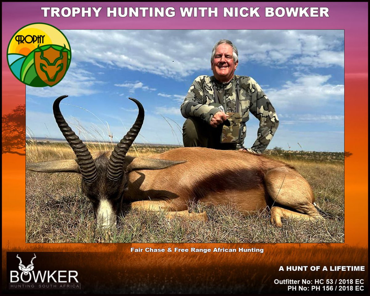 BowkerHuntm's tweet image. #springbuck #hunt #nickbowkerhunting In cooler temperatures, the side of the body is turned towards the sun in order to absorb the maximum heat through the dark stripes on the flanks.