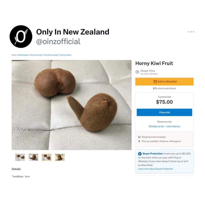 midnightwitch01's tweet photo. @Dementia_Grimm Lets hope they not horny hairy fruits LMAO 😂😂😂 https://t.co/szkftGx9Fw